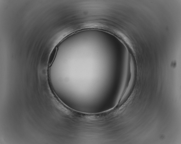 X0000091071330200708201400