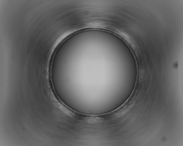 X0000091071331200708201400