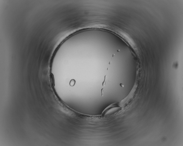 X0000091071332200708201400