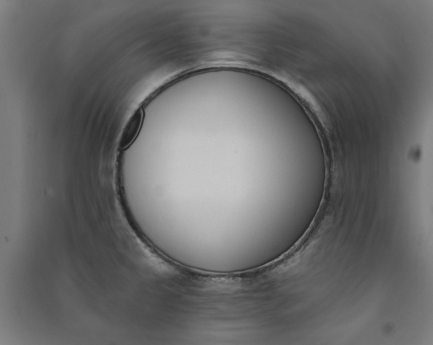 X0000091071333200708201400