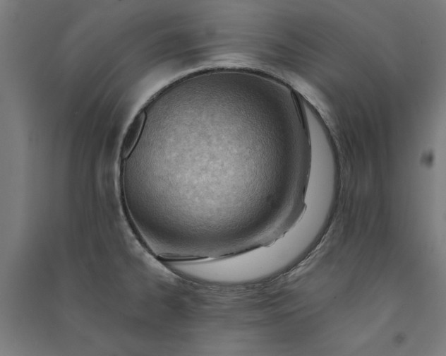 X0000091071334200708201400