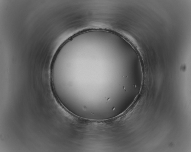 X0000091071335200708201400