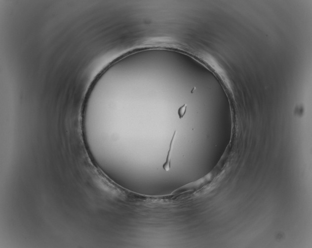 X0000091071336200708201400