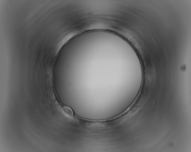 X0000091071337200708201400