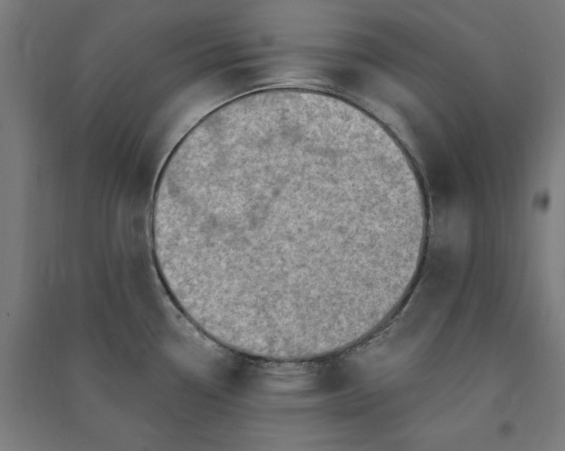 X0000091071338200708201400