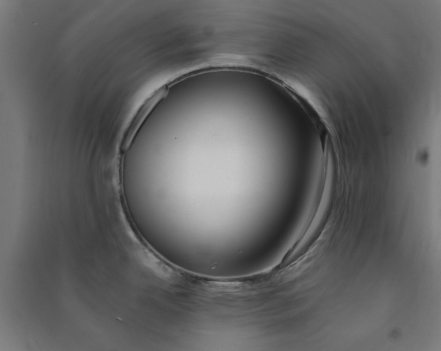 X0000091071342200708201400