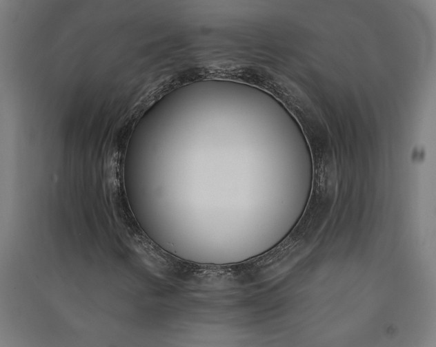 X0000091071346200708201400