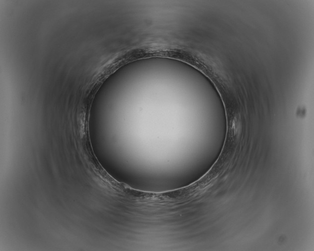 X0000091071348200708201400