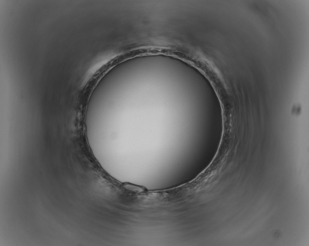 X0000091071352200708201400