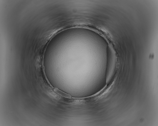 X0000091071353200708201400