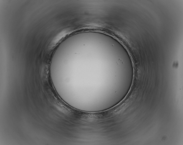 X0000091071355200708201400