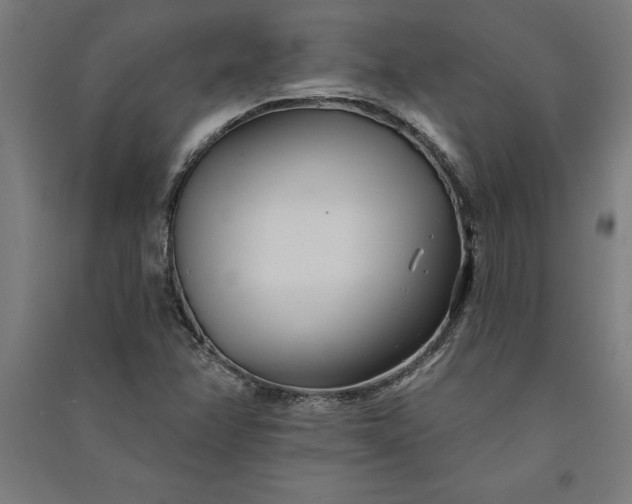 X0000091071358200708201400