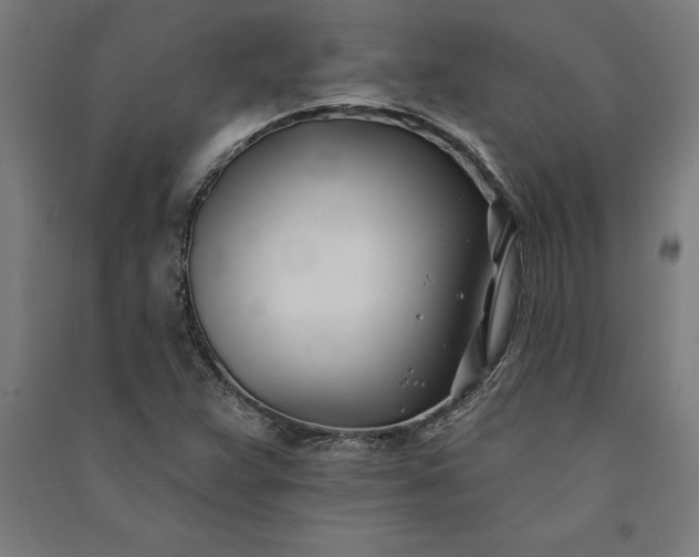 X0000091071359200708201400