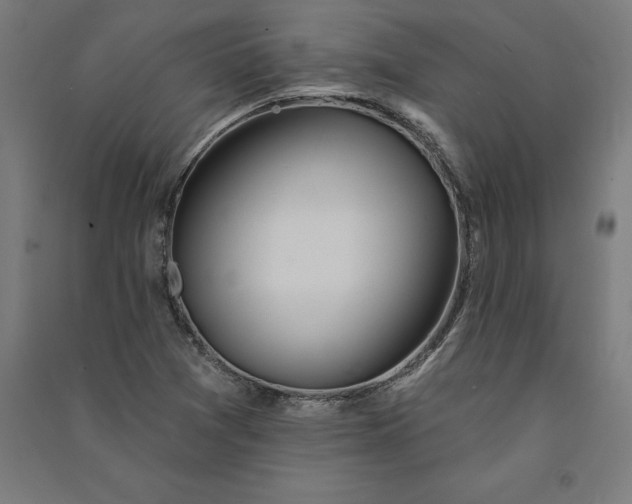 X0000091071361200708201400