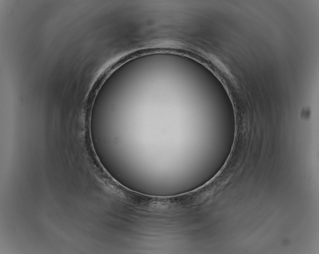 X0000091071364200708201400