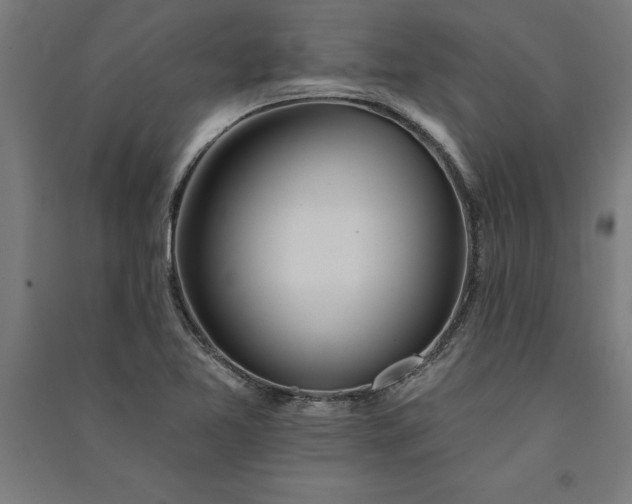 X0000091071365200708201400