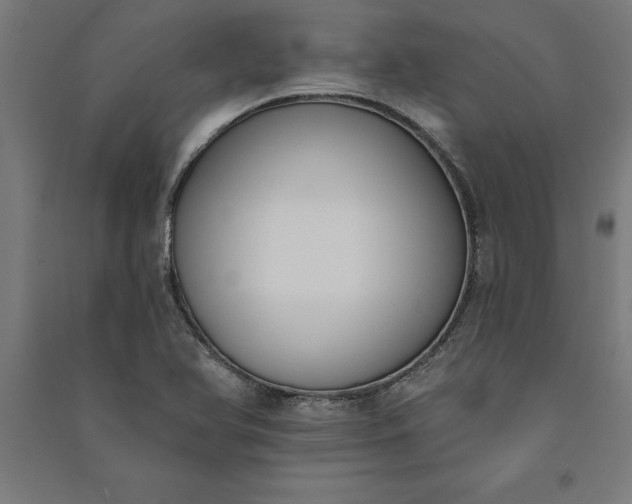 X0000091071366200708201359