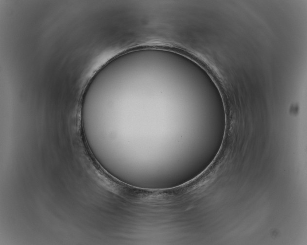 X0000091071367200708201359