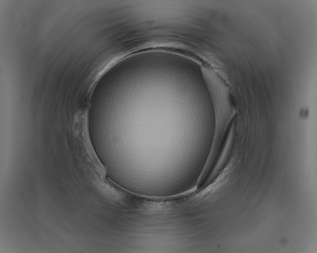X0000091071369200708201359