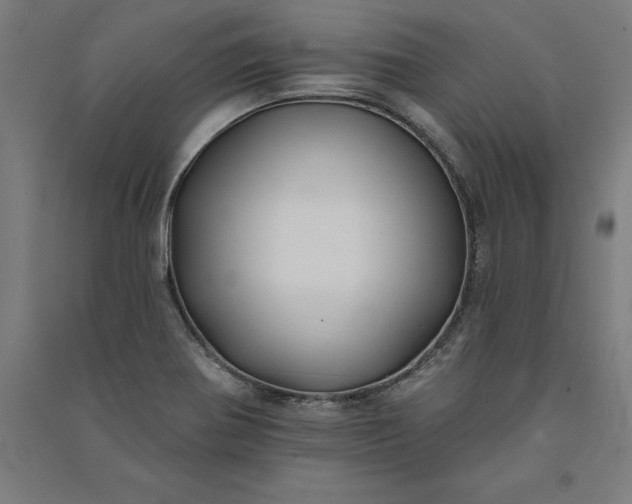 X0000091071370200708201359