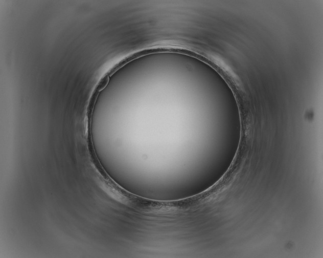 X0000091071372200708201359