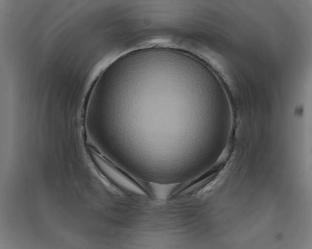 X0000091071373200708201359