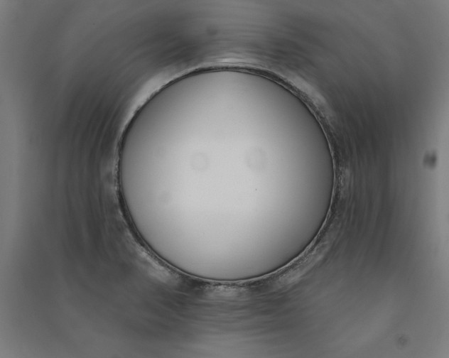 X0000091071374200708201359