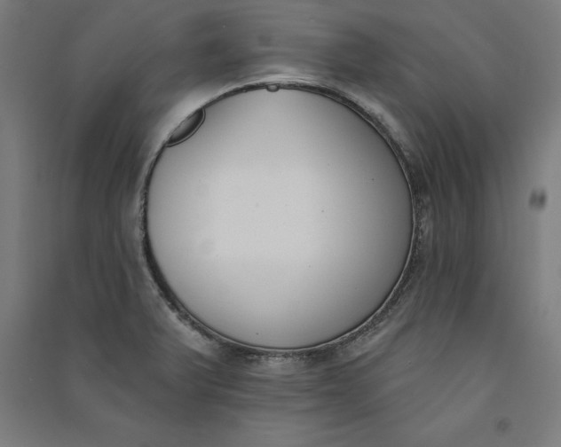 X0000091071375200708201359