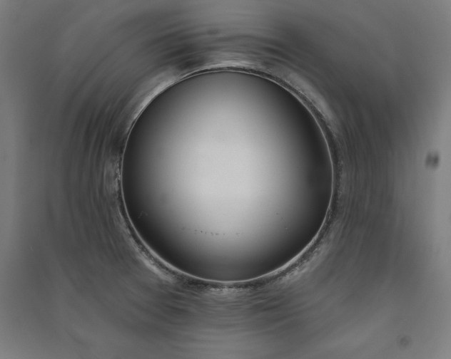 X0000091071377200708201359