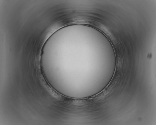 X0000091071378200708201359