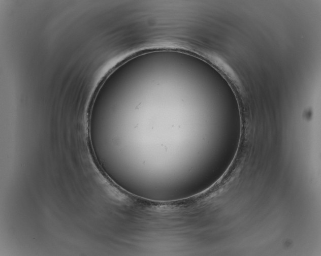X0000091071380200708201359