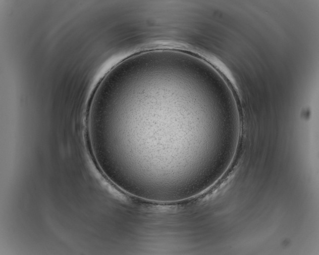X0000091071381200708201359