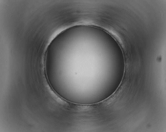 X0000091071382200708201359