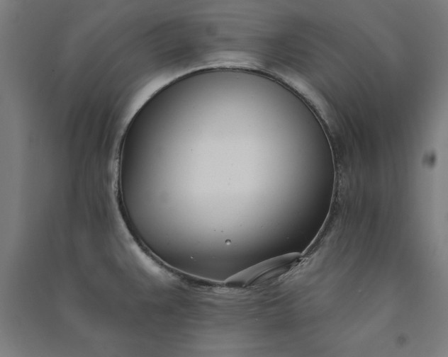 X0000091071383200708201359