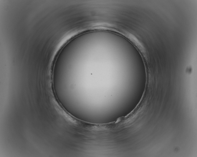 X0000091071384200708201359