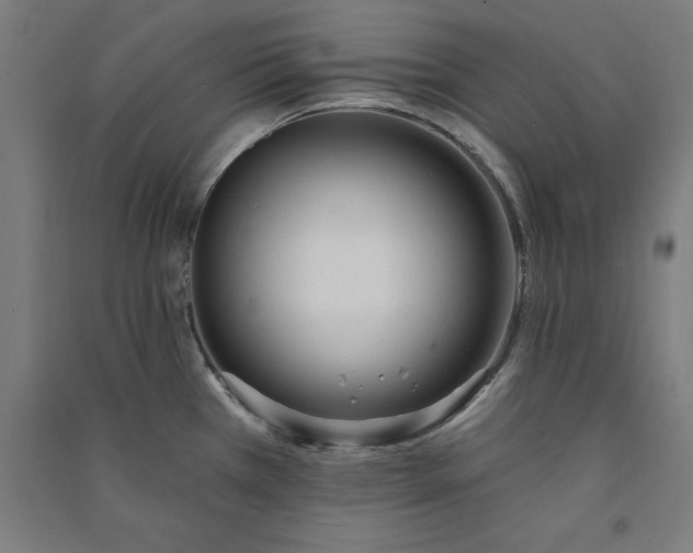X0000091071385200708201359