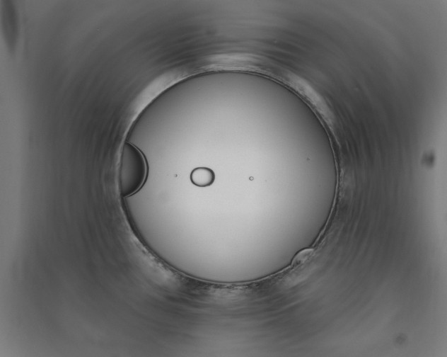 X0000091071386200708201359