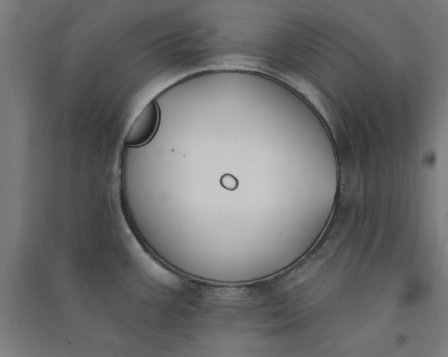X0000091071387200708201359