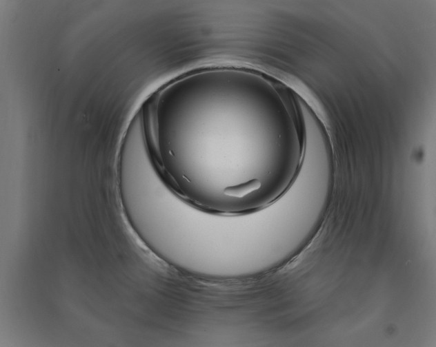 X0000091071388200708201359