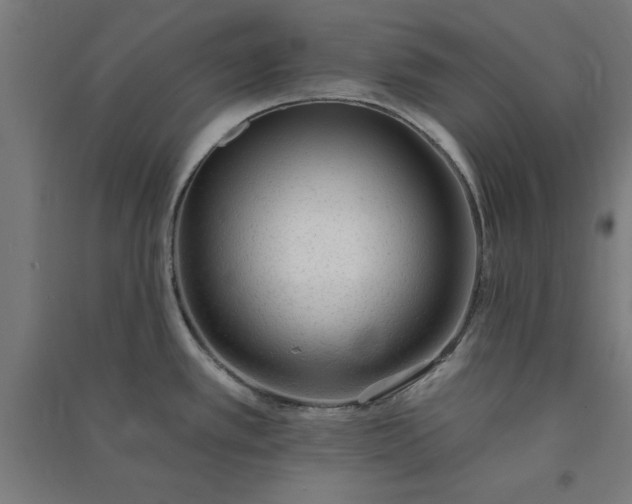 X0000091071389200708201359