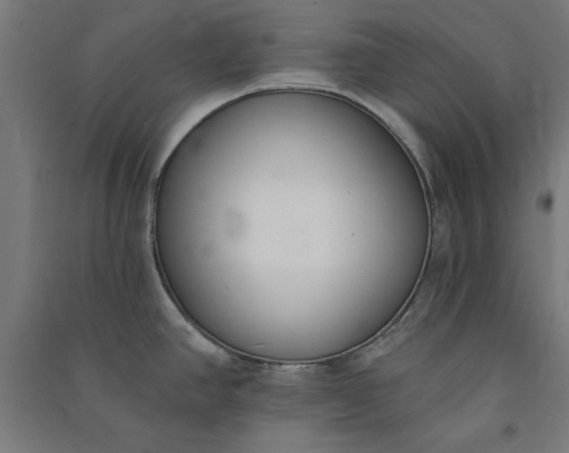 X0000091071390200708201359