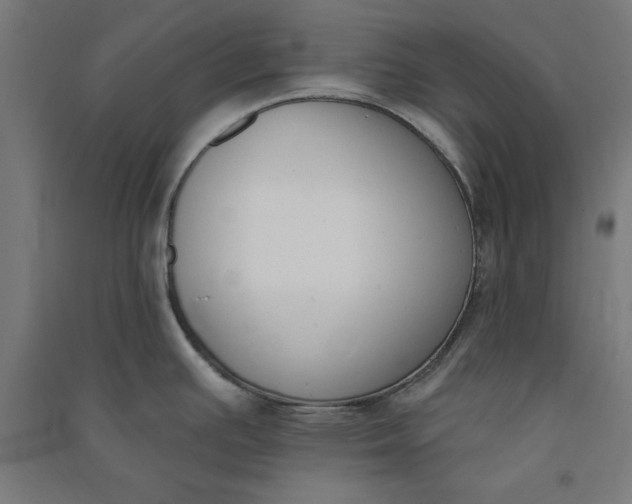 X0000091071391200708201359