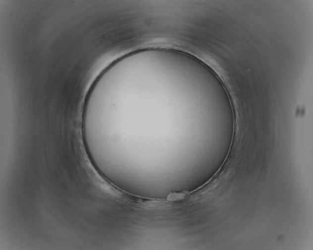 X0000091071392200708201359