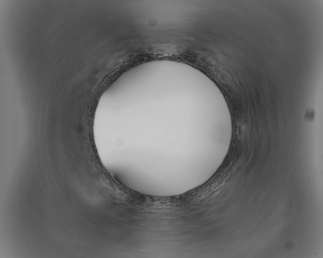 X0000091071393200708201358