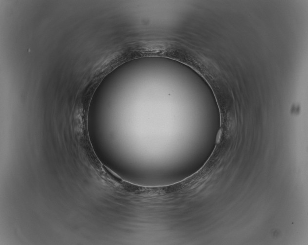 X0000091071394200708201358