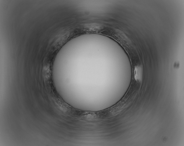 X0000091071395200708201358