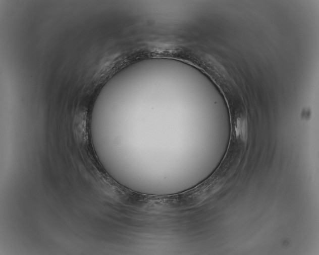 X0000091071396200708201359