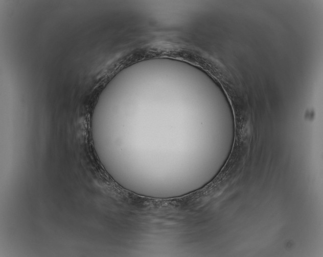 X0000091071397200708201359