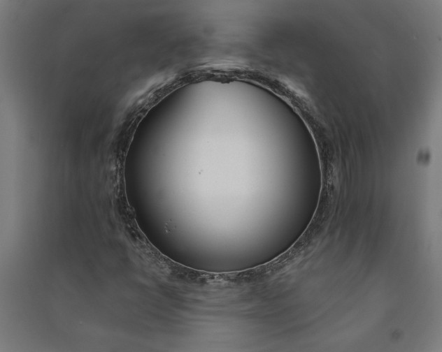 X0000091071398200708201359