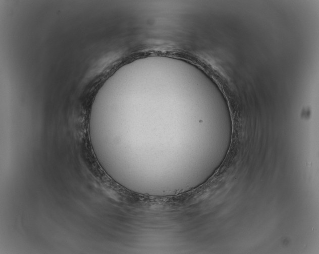 X0000091071399200708201359